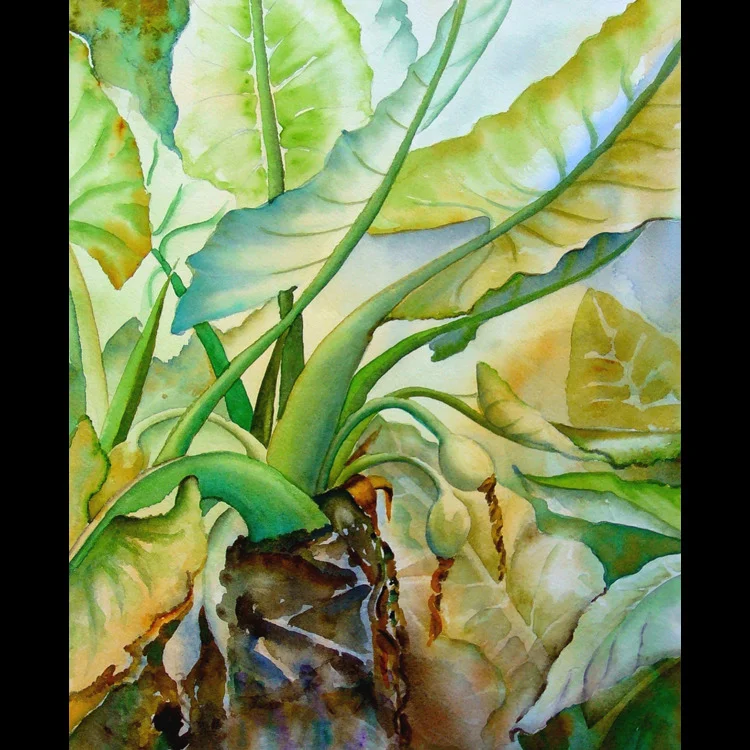 027-roach-under the leaves10x13.jpg