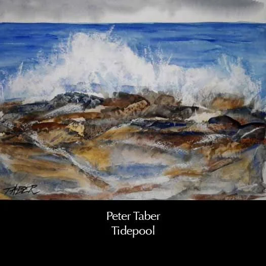 petertaber- tidepool.jpg