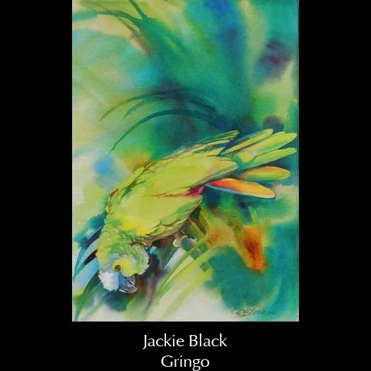 jackieblack-gringo.jpg