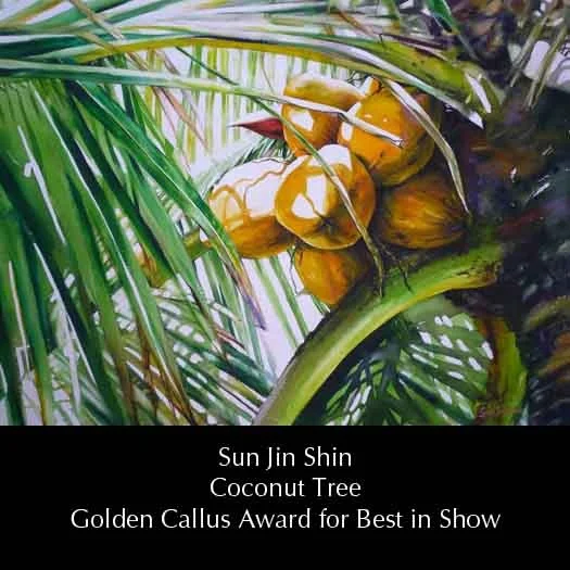sunjinshin-coconuttree.jpg