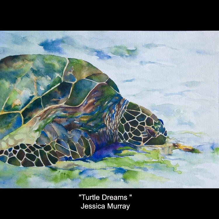 054-murray-turtle_dreams_10.5x14.5.jpg