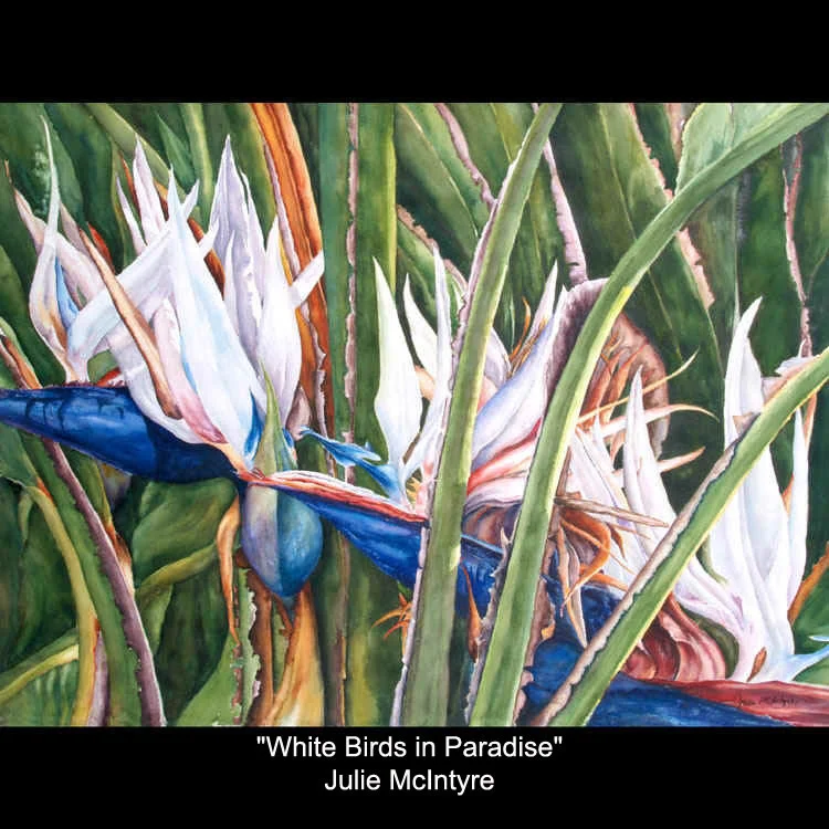 076-julie_mcintyre-white_birds_in_paradise-22.25x30.jpg