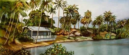 roach-coconut lagoon-21x9.jpg
