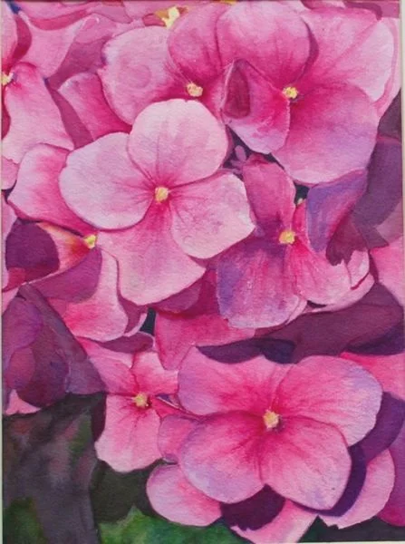 Pink Profusion - Barbara Littenburg