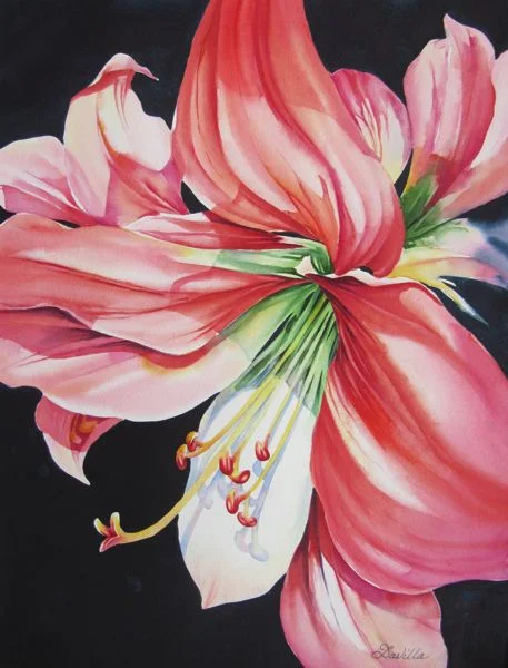 Morning Has Broken - Davilla Harding