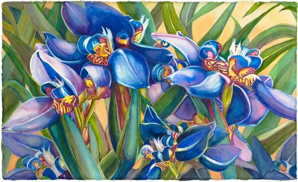 Magnificent Iris - Diane Tunnell