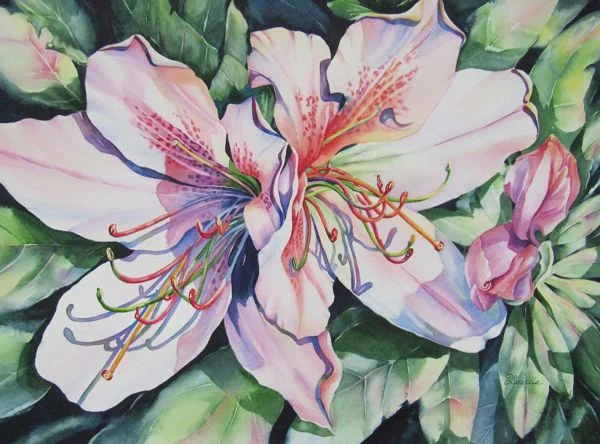 Joy in the Morning - Davilla Harding