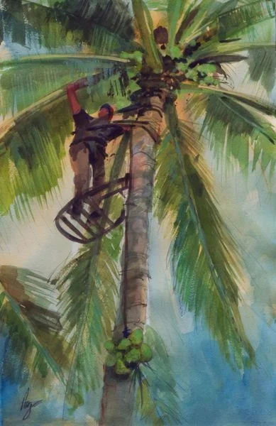 The Coconut Hunter - Jeffery Piatrzak