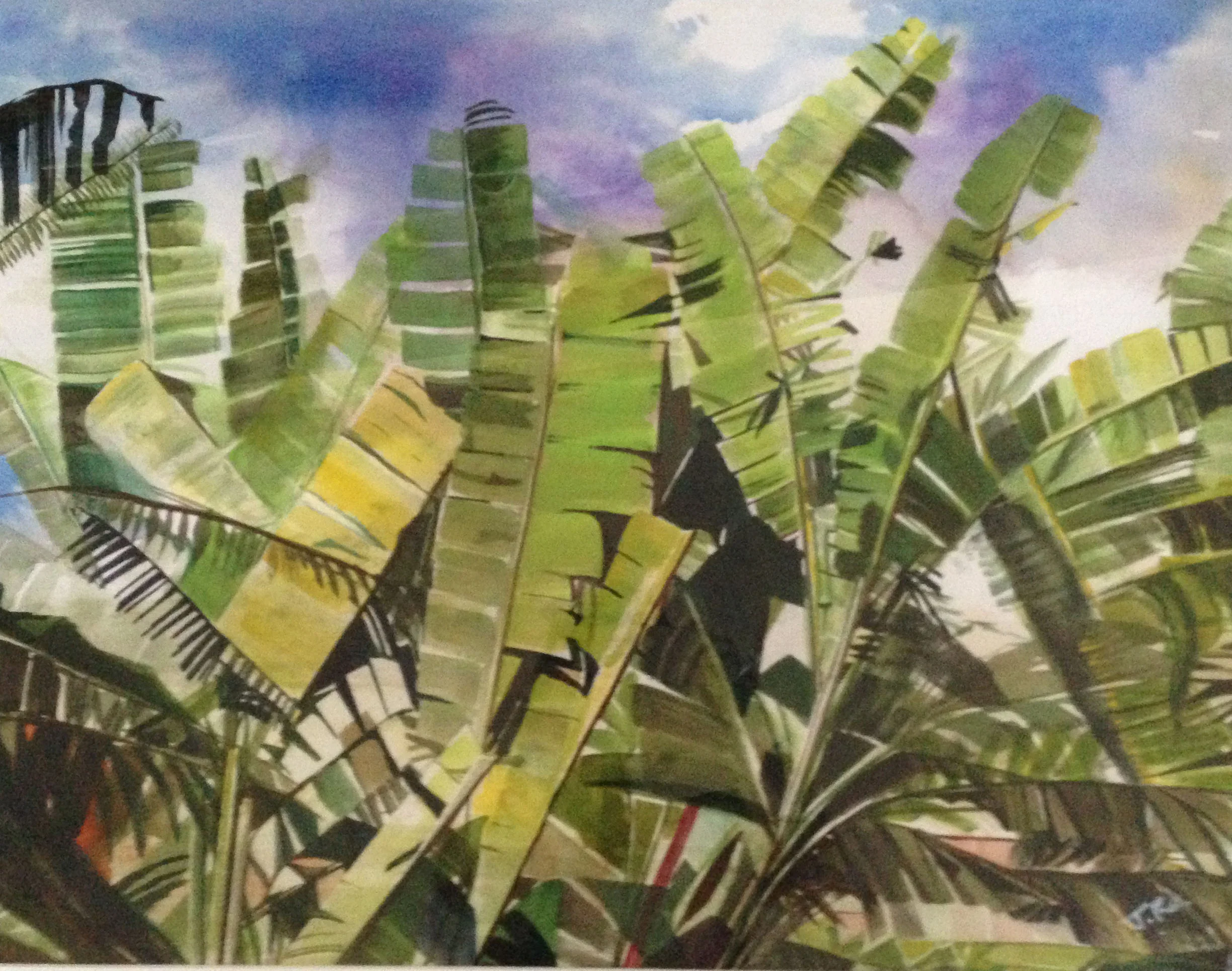 Banana Tree - Jane Ra