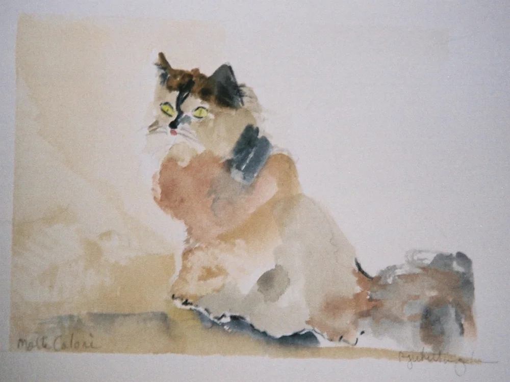 Molte Colore - Whittingslow