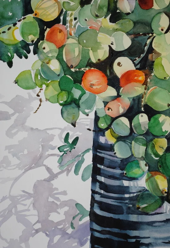 It's Nuts - Judith Perry