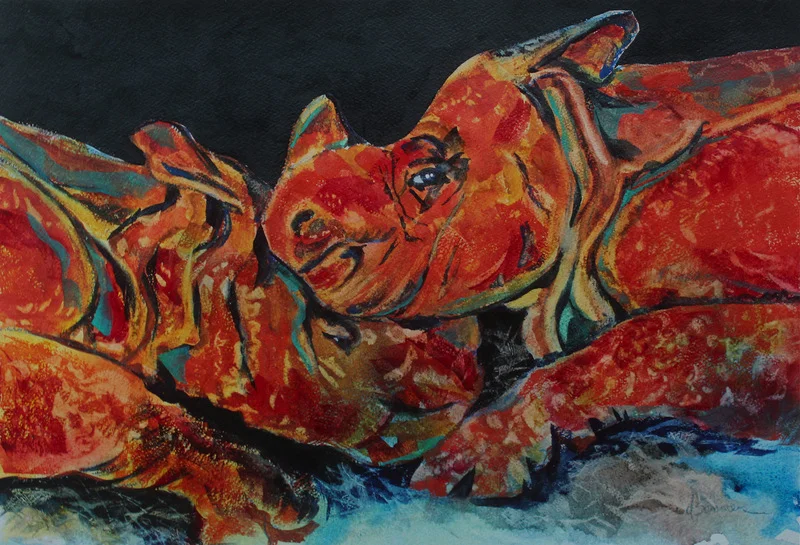 Resting Rhinoceroses - Donna Sommer
