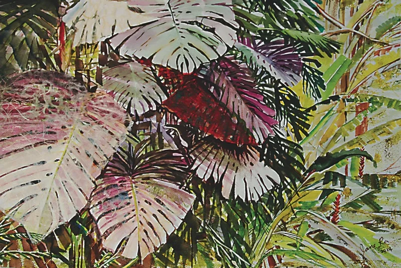 Monstera - Jane Ra