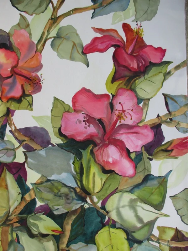 Bountiful - Anne Irons