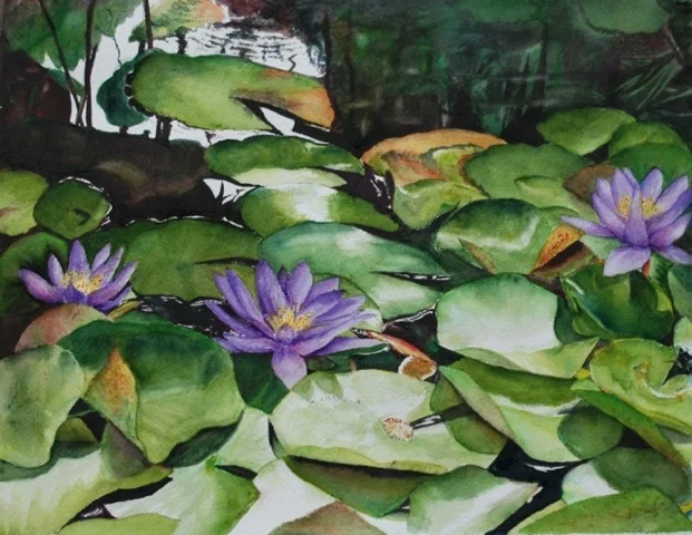 Ho'omaluhia Pond - Barbara Littenberg