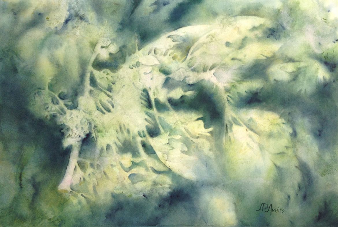 COQUETTE - JUDY P. AVEIRO