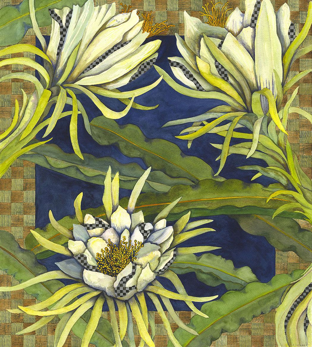 NIGHT BLOOMING CEREUS II - NANCY TAYLOR