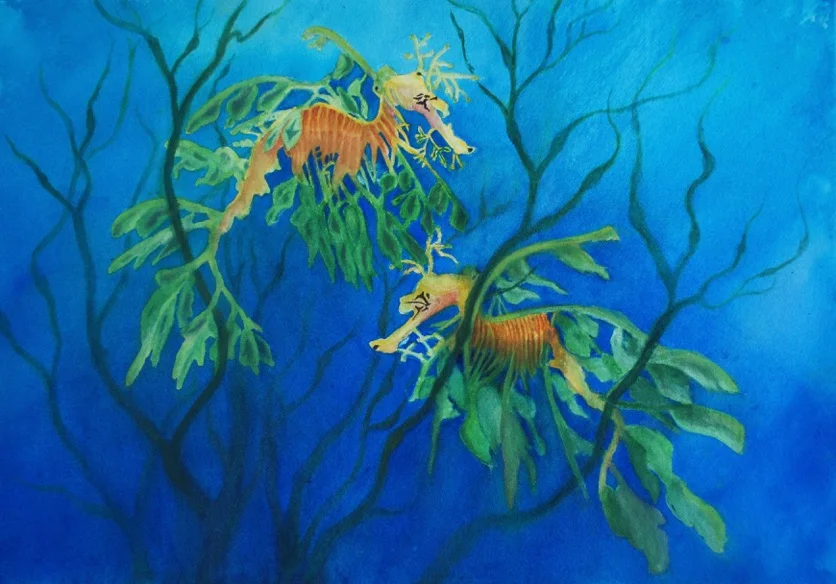 SeaHorsing Around - Barbara Littenberg
