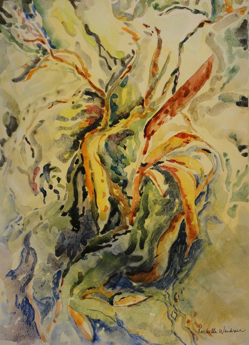 Plant in Motion - Rochelle Weidner