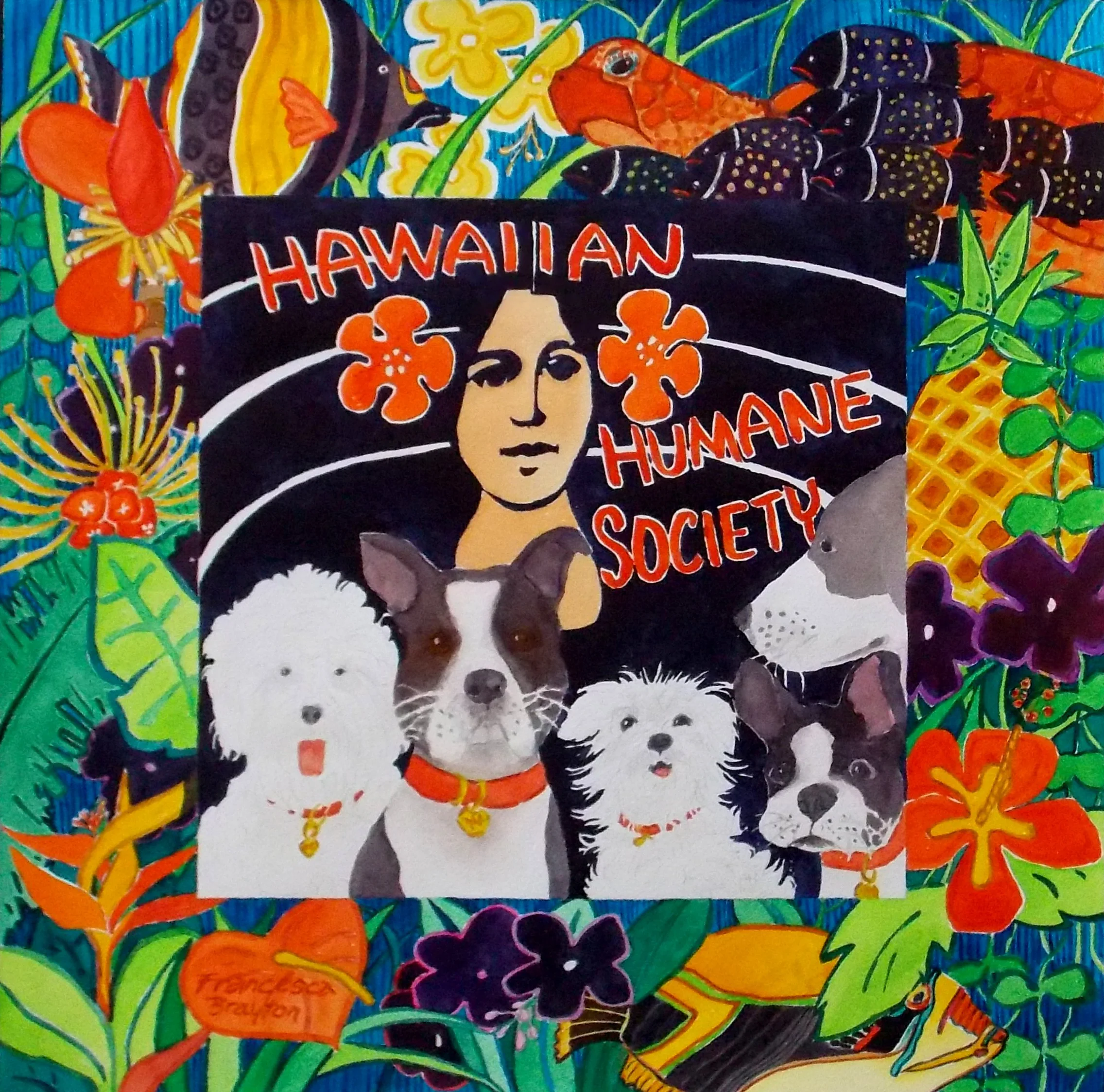 Hawaiian Humane Society - Francesca Brayton
