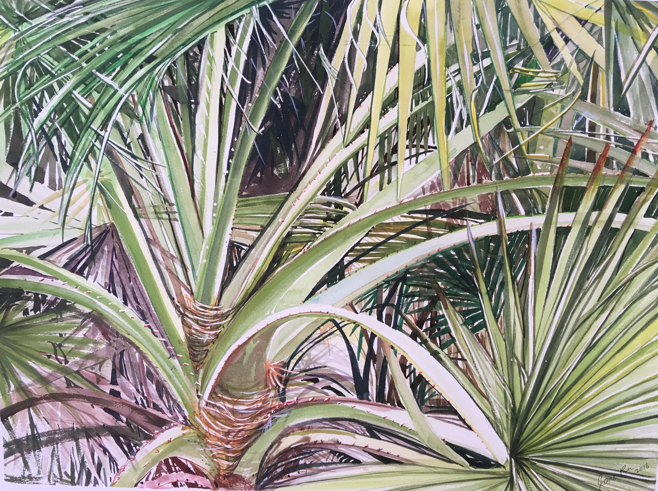 Akaka Forest - Jane Ra