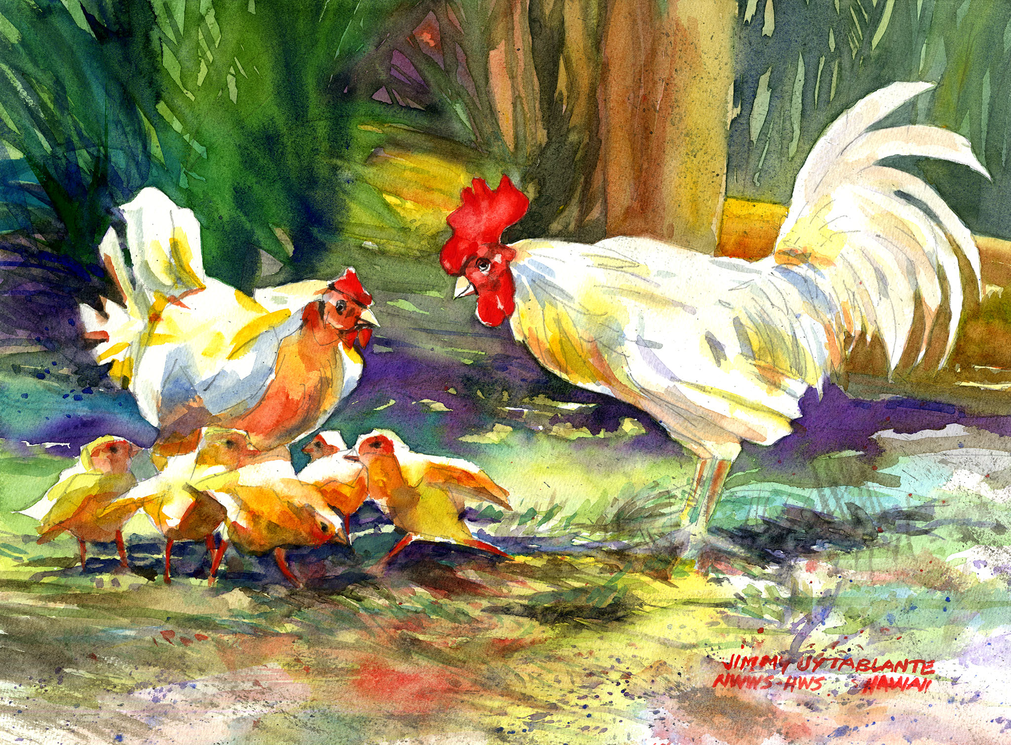 Local Chicken - Jimmy Tablante