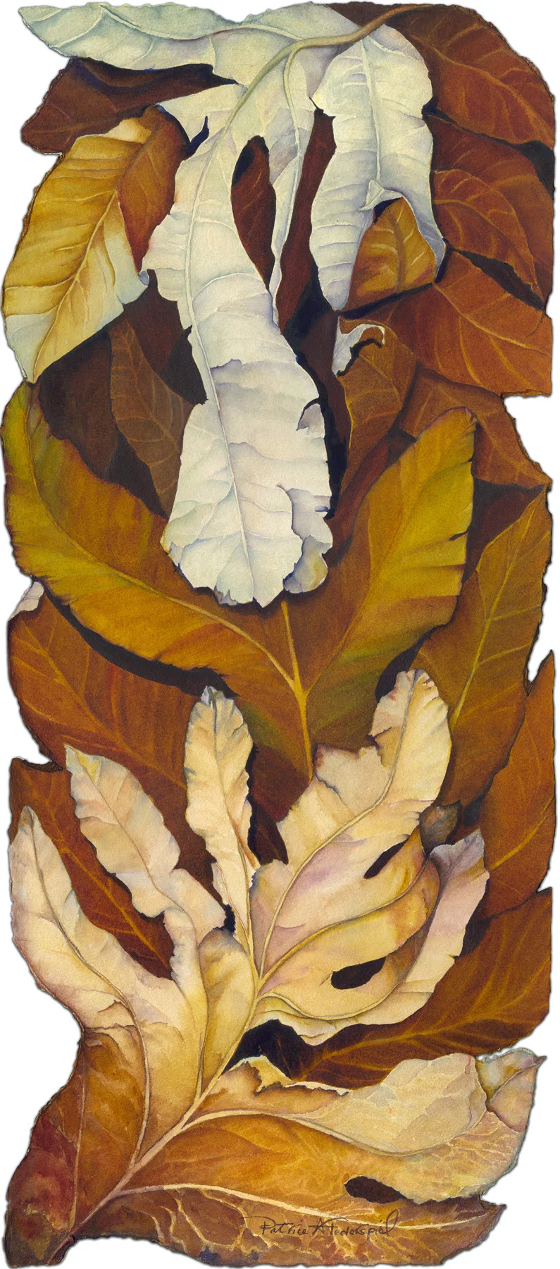 Seasons of Change - Patrice Federspiel