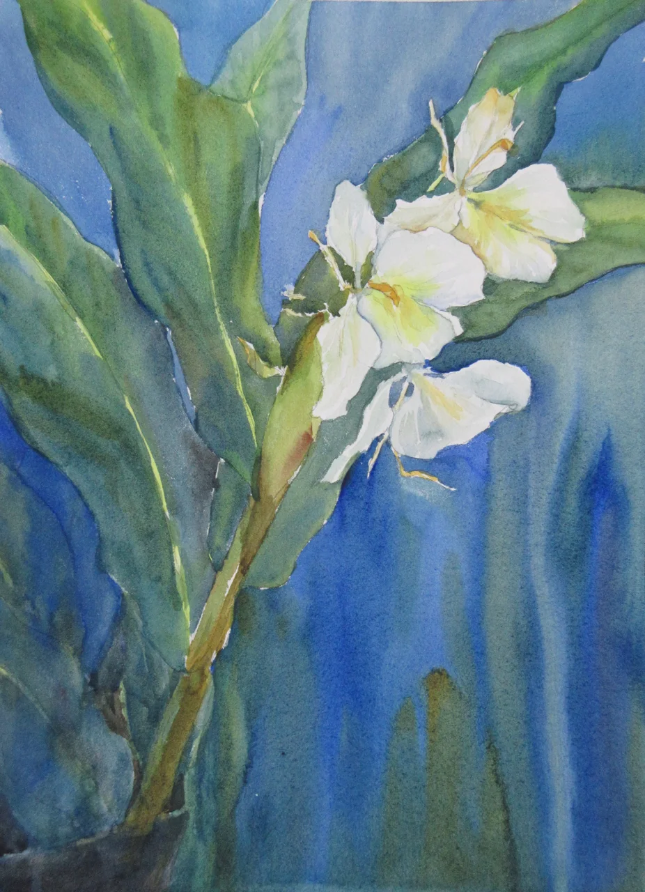 Awapuhi ke`one`o, white ginger - Ikumi Kaneko Louie