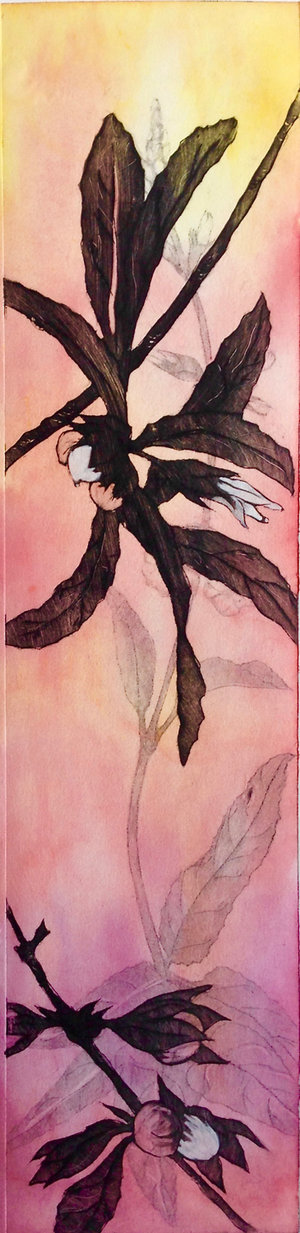Pohakuloa Dawn - Regina Bode