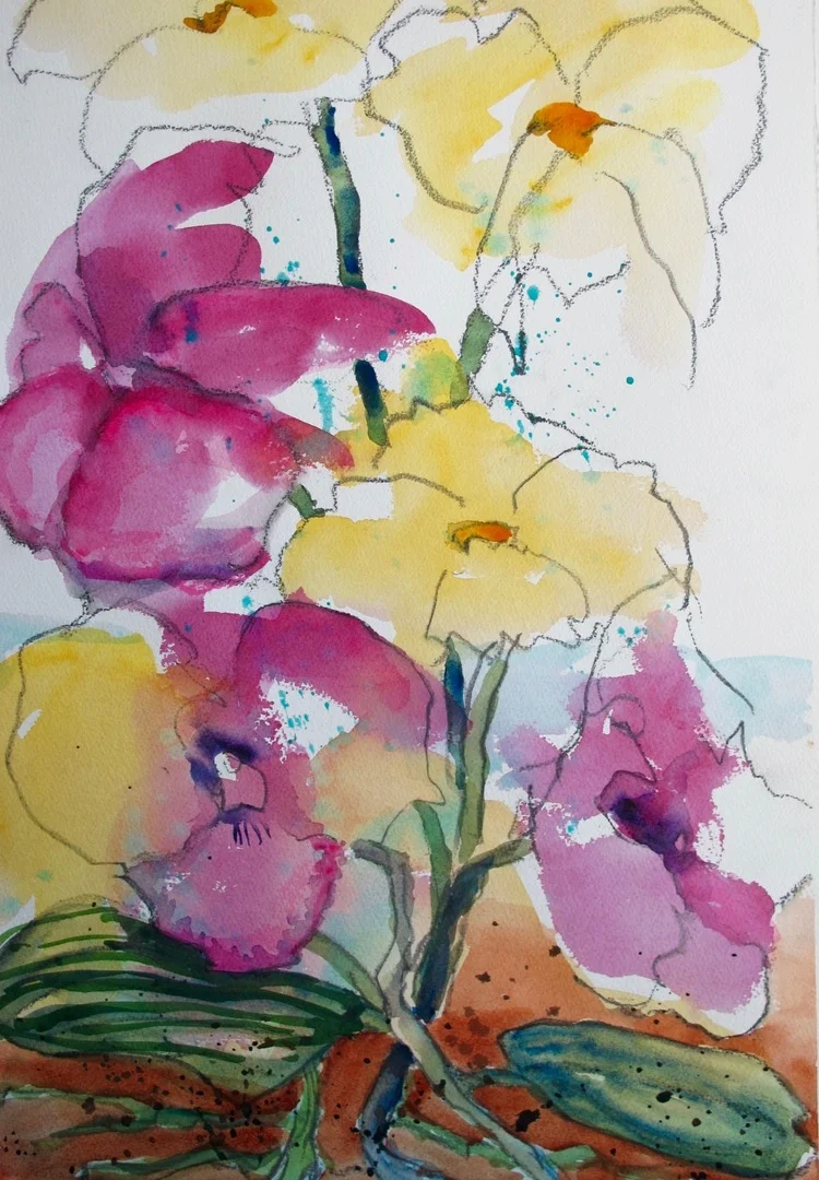 Orchids - Judy Shishido