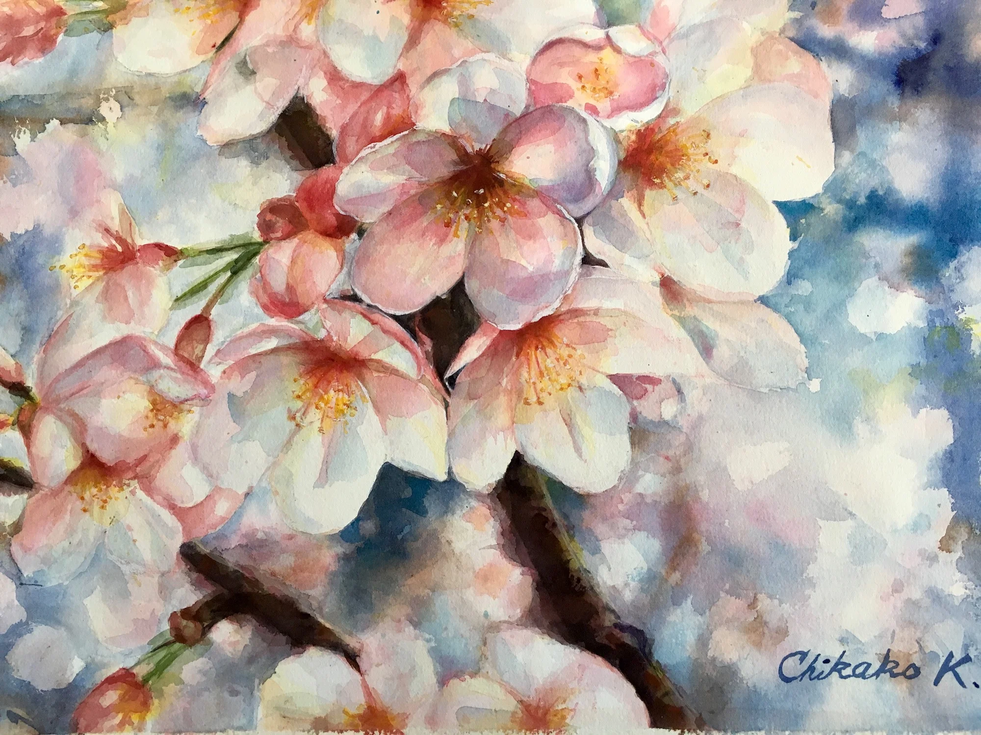 Cherry Blossom 18" x 21" - Chikako Kayoda