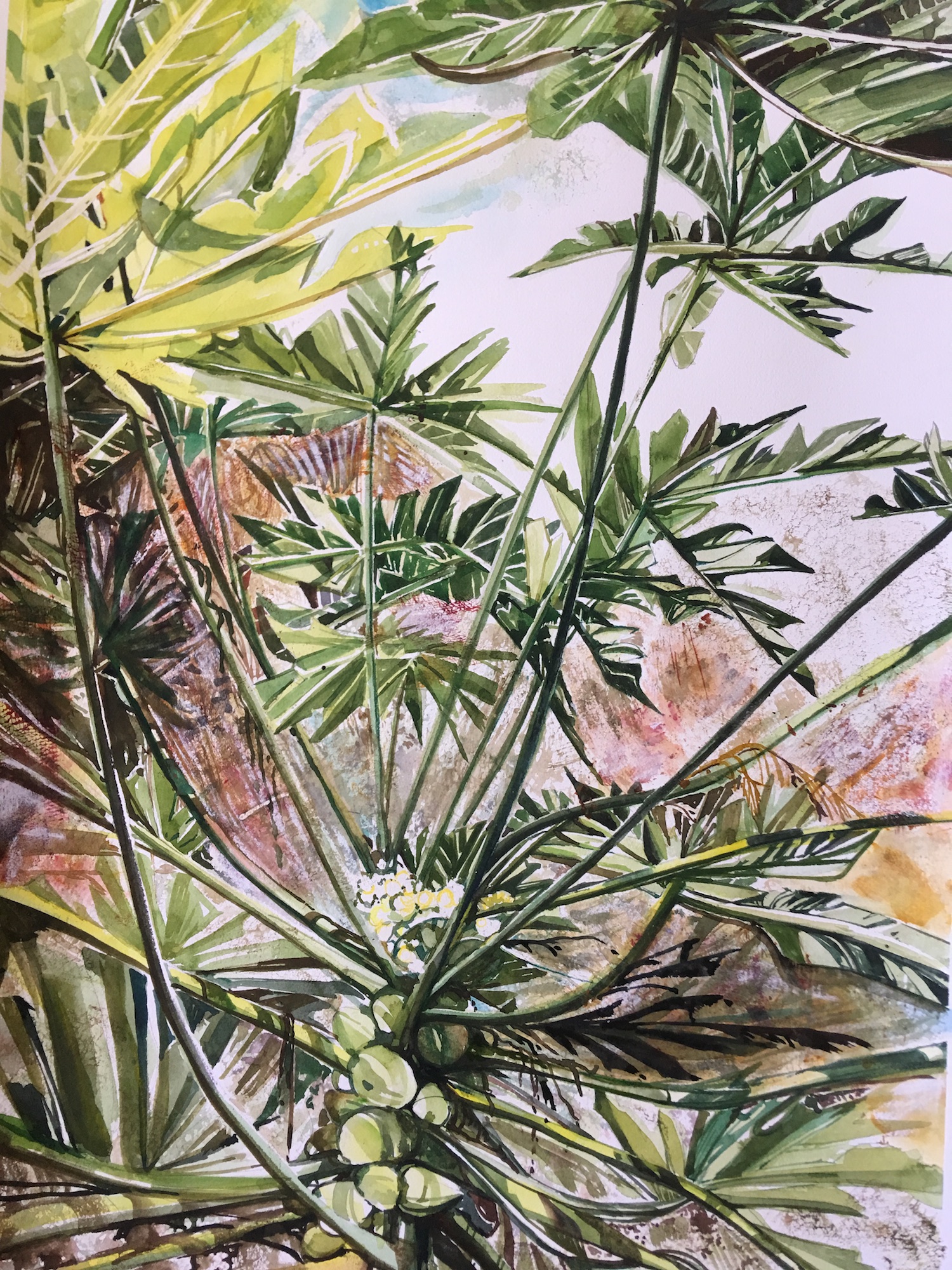 Papaya 27.5" x 19.5" - Jane Ra