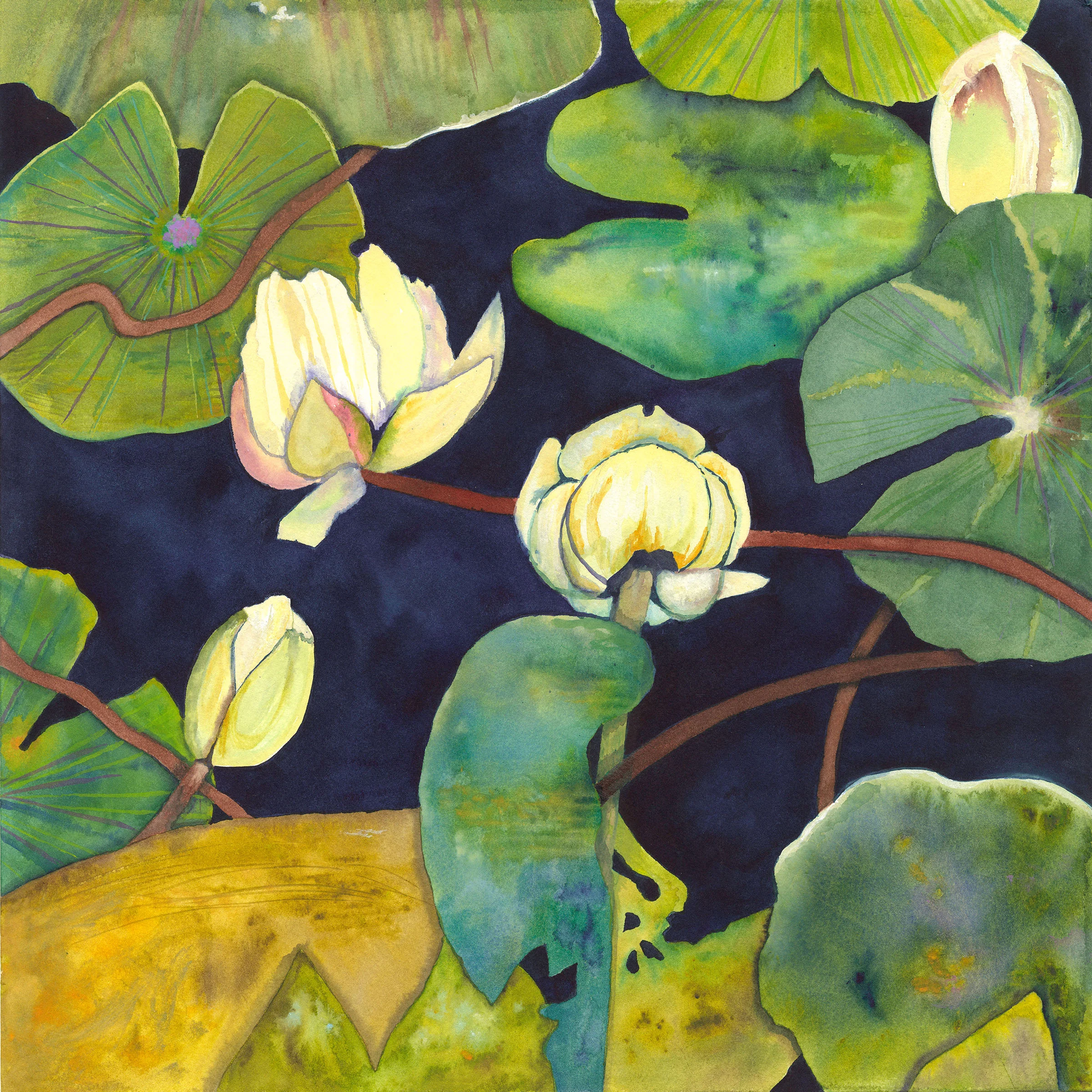 New Blooms 16" x 16" - Nancy Taylor
