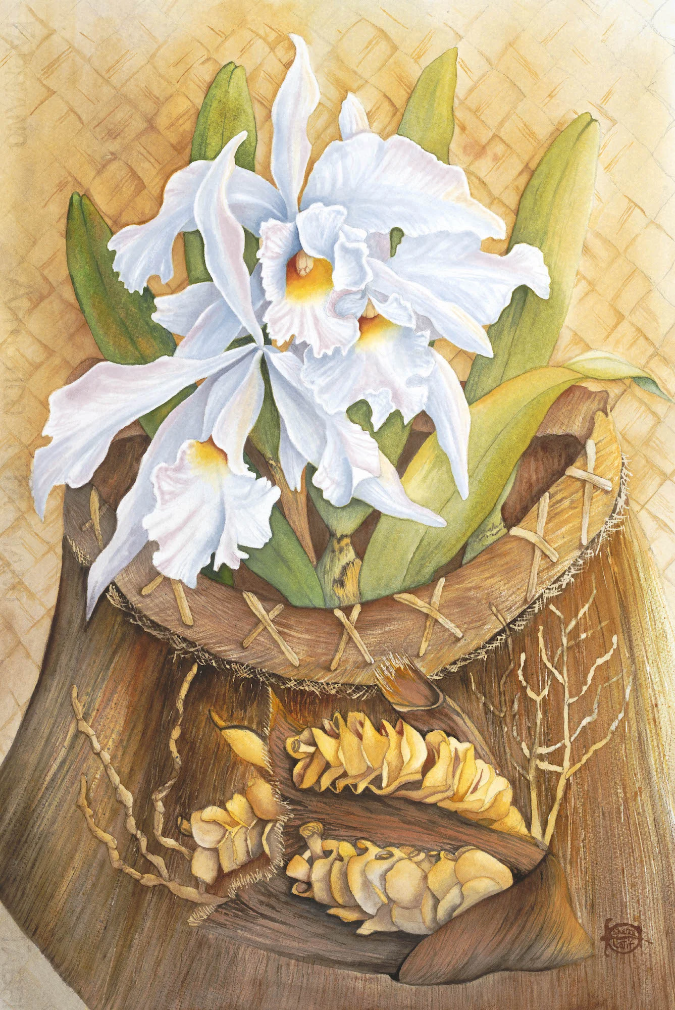 Island Orchid 20" x 14" - Sheree Latif
