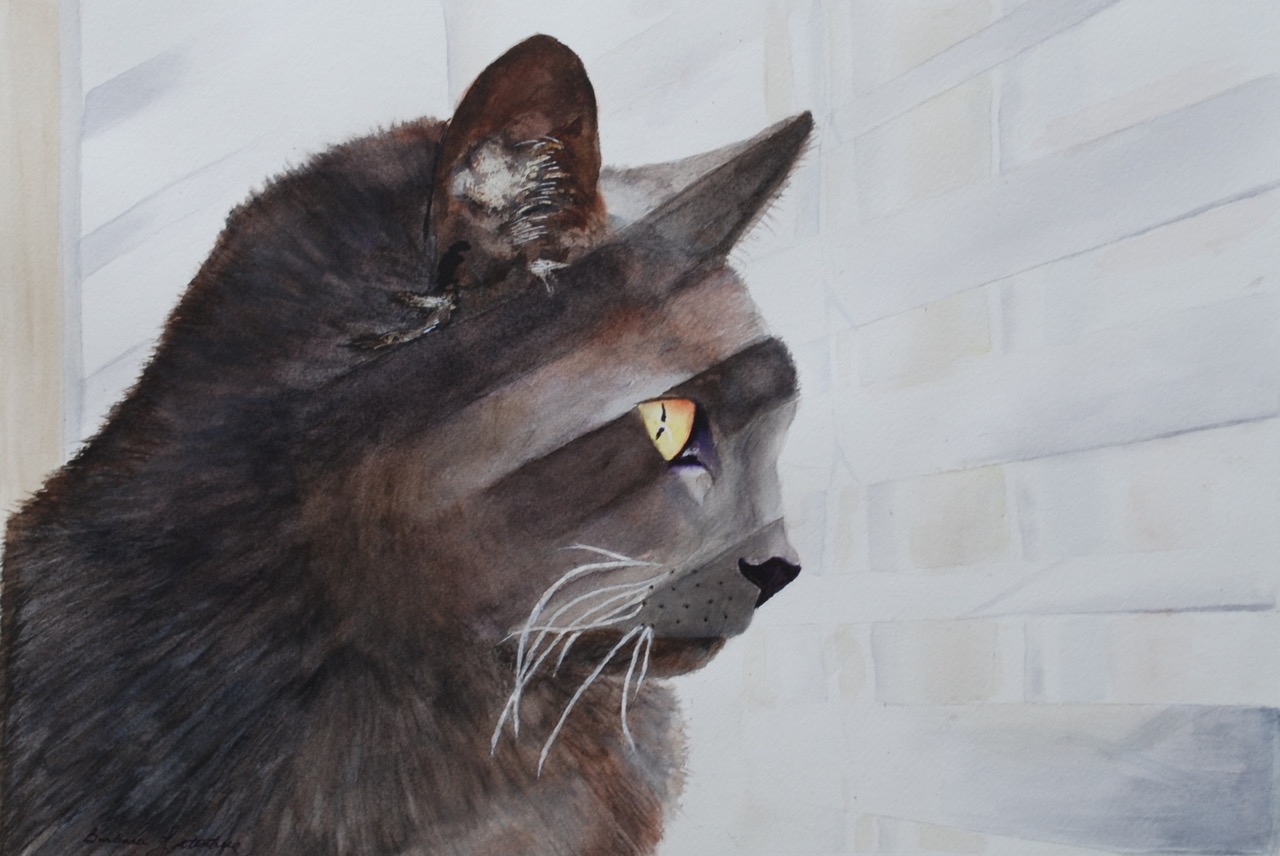 My Curious Cat 12" x 18" - Barbara Littenberg