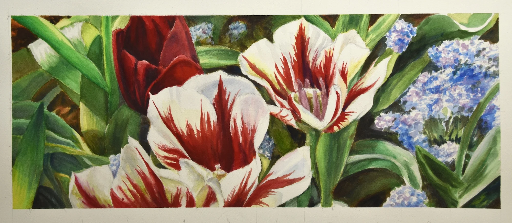 Tulips 10" x 25" - Brian Aburano