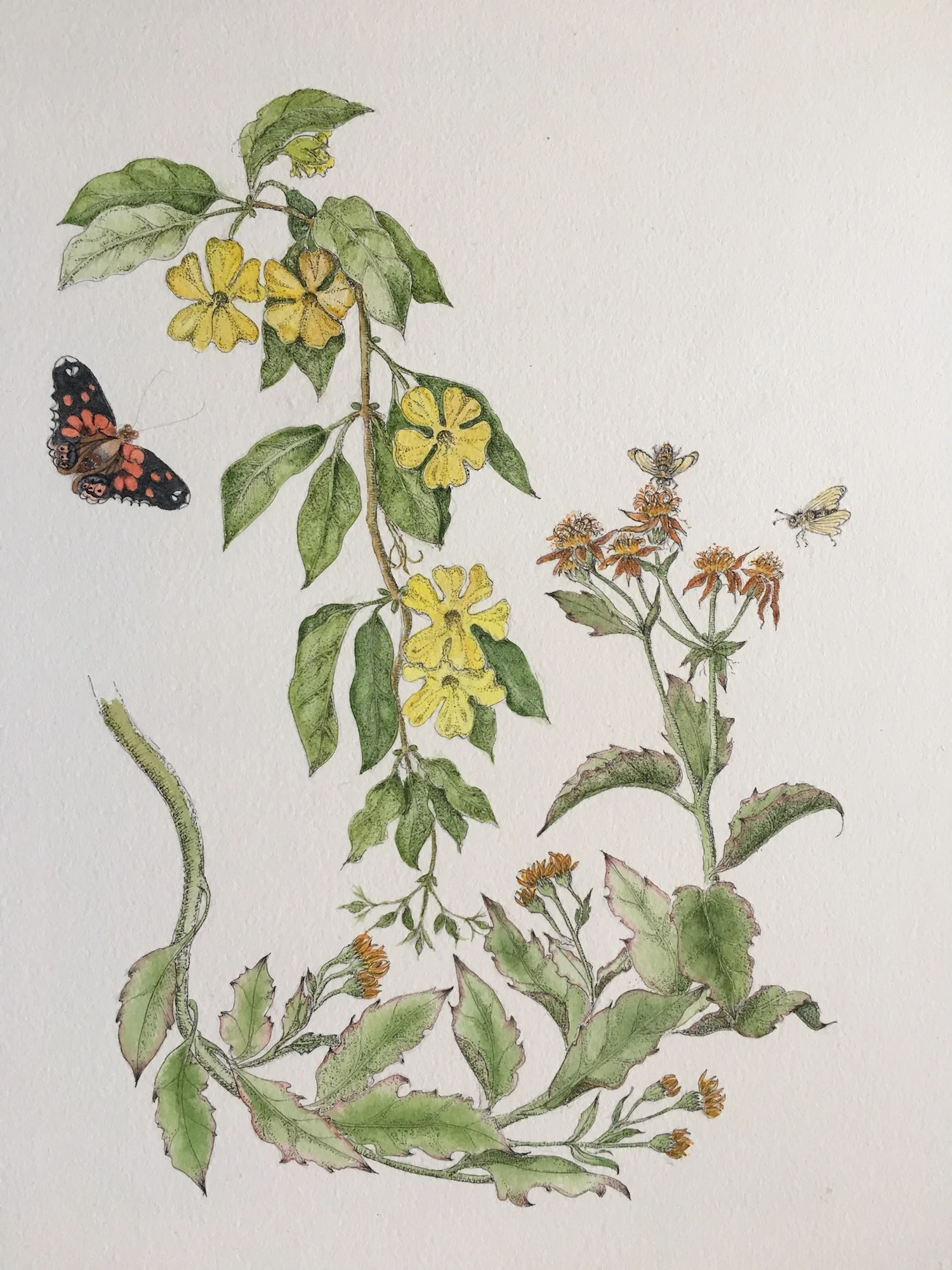 Flaming Vines 13" x 9" - Bobbie Slater