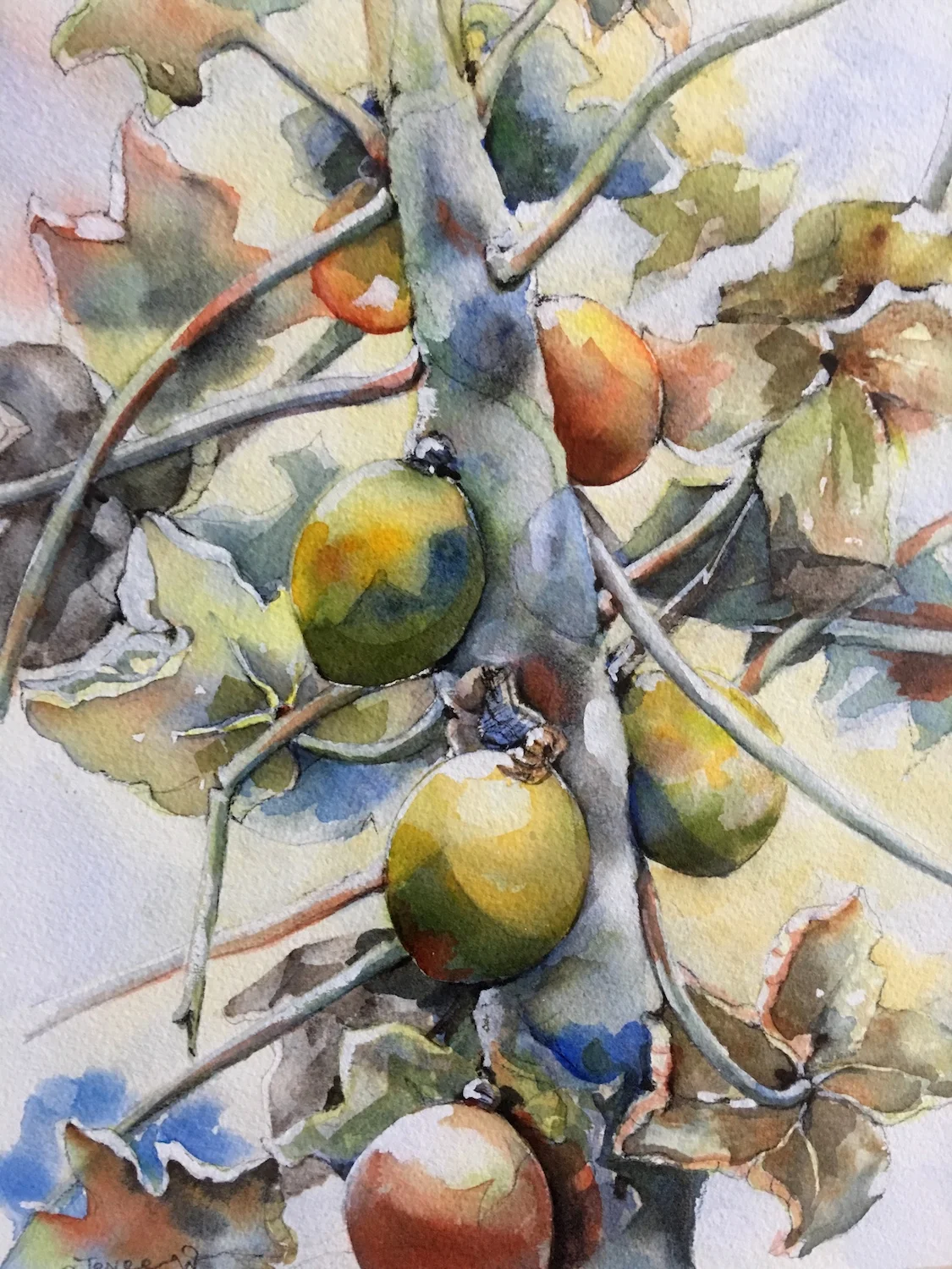 Papaya Tree 28" x 16" - Jenee Wonderlich