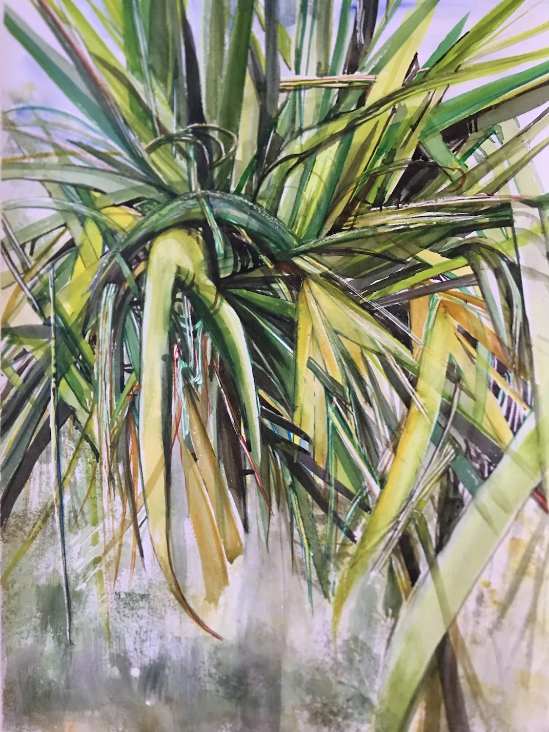 Hala Tree 28" x 20" - Jane Ra