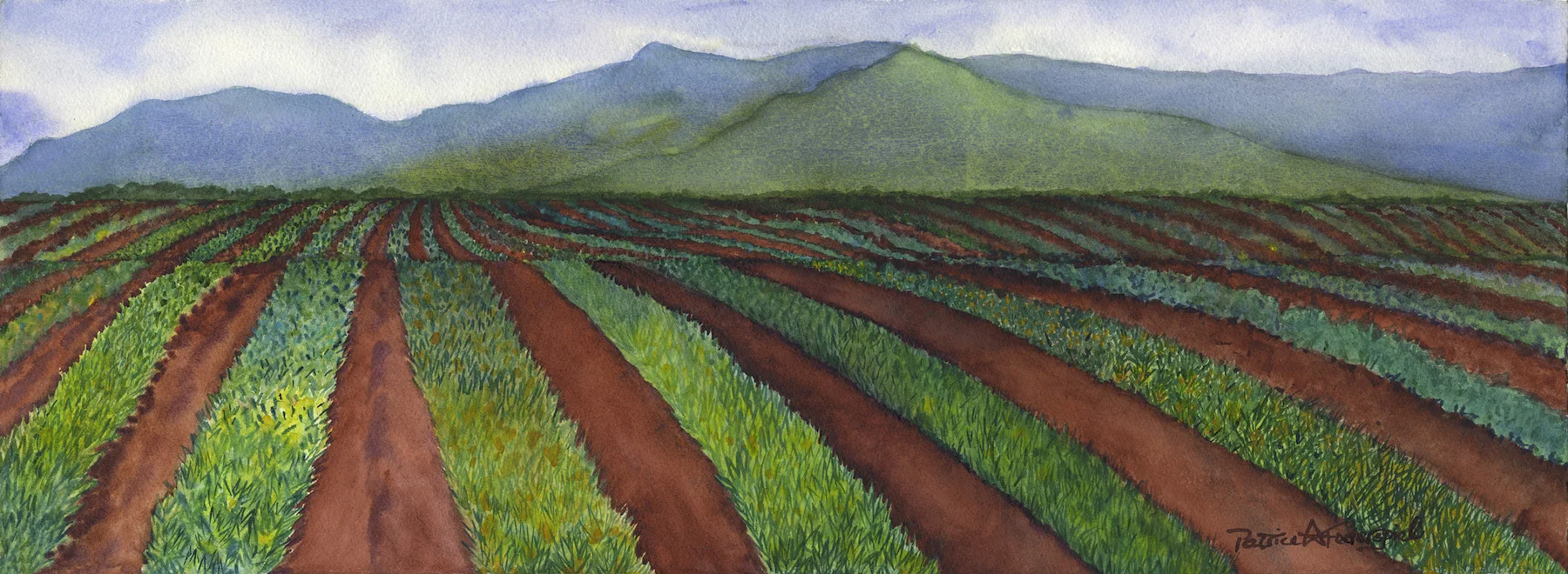 Pineapple Fields Forever II 11" x 30" - Patrice Federspiel