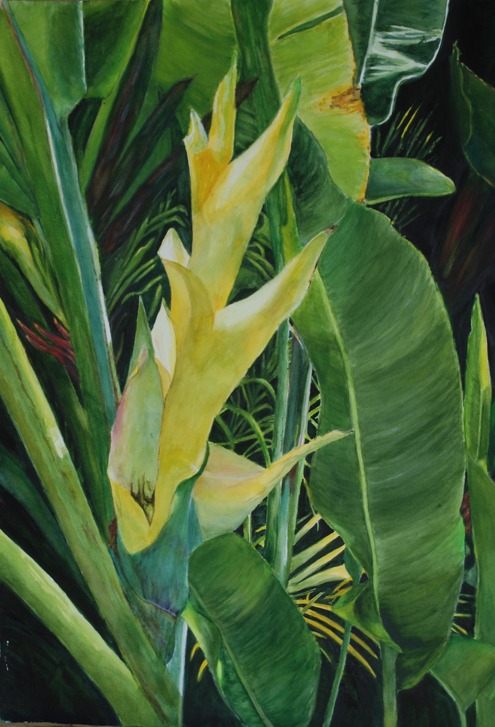 In My Garden 30" x 20" - Barbara Littenberg
