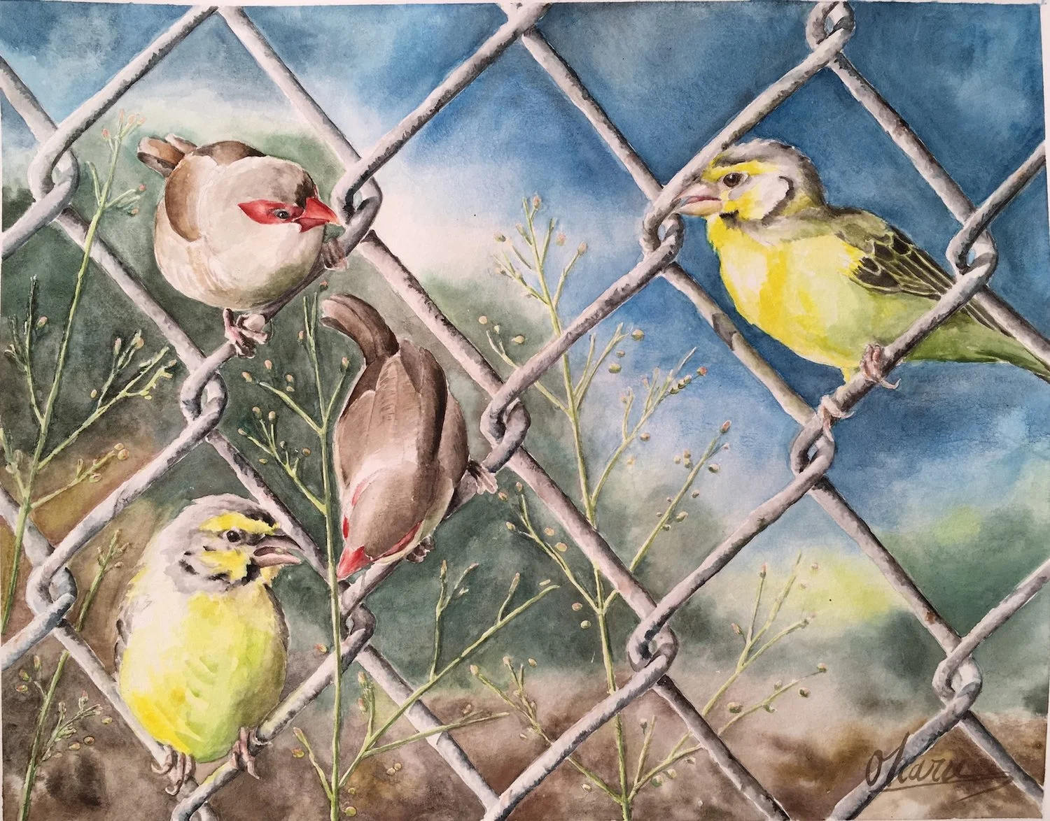 Birds on the Fence 11"x14" - Harumi Fujimoto