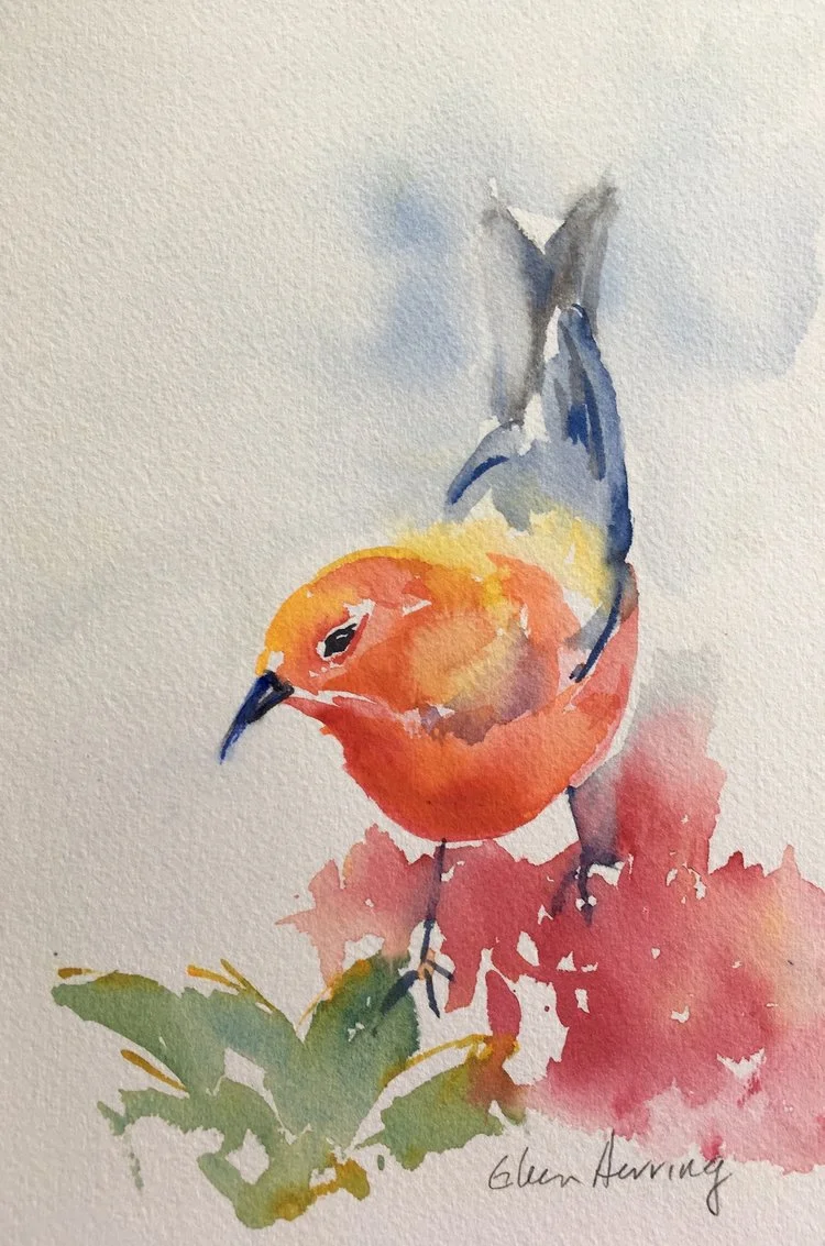 Sunlit Apupane 8.5"x5.5" -Eileen Herring