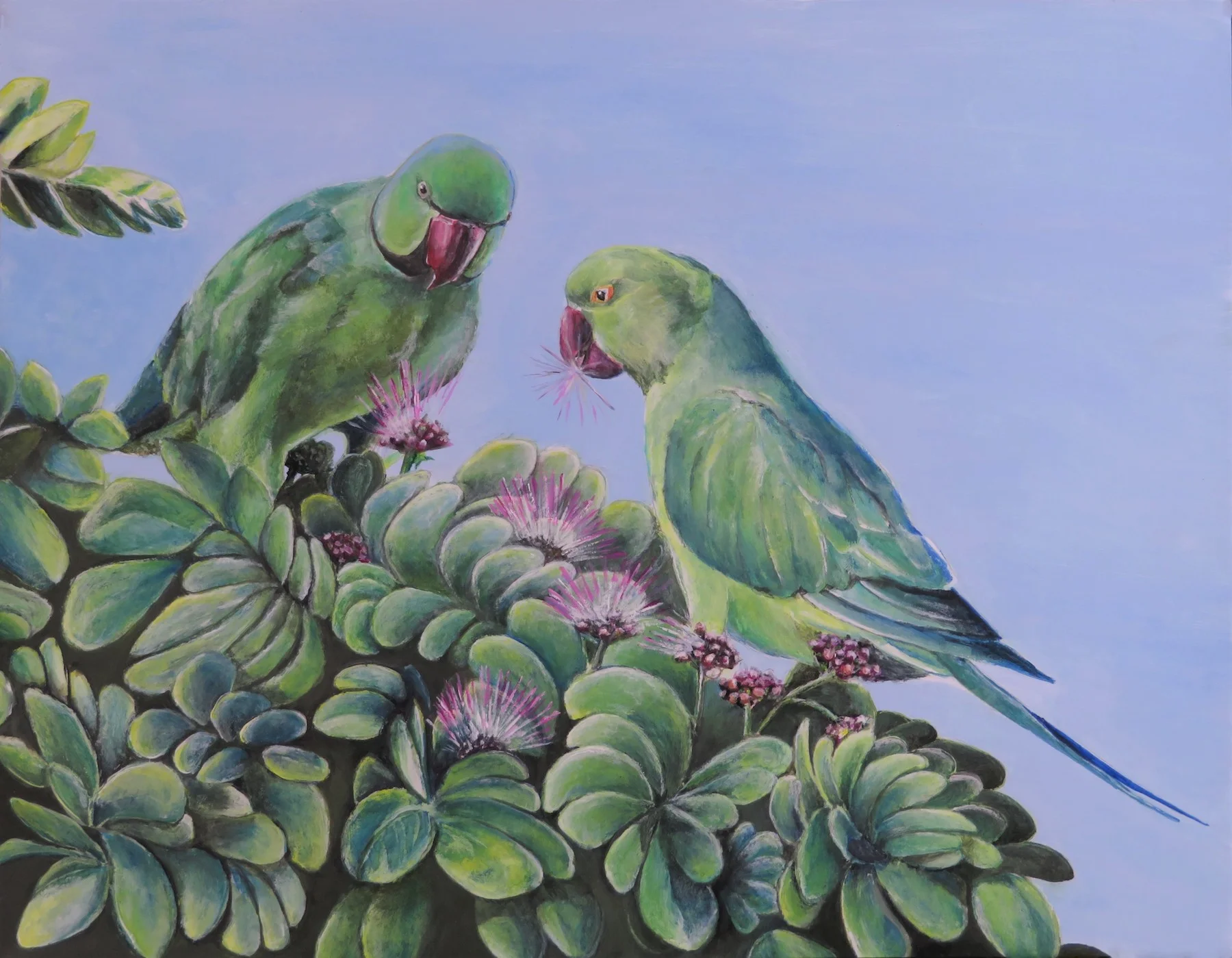 Sweet Monkeypod 11"x14" - Harumi Fujimoto