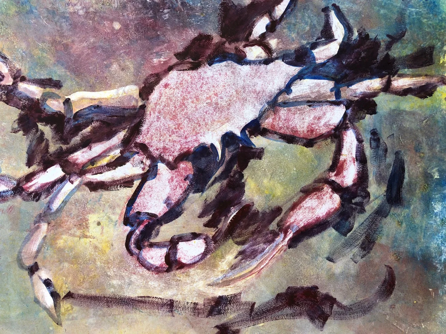 Snow Crab 22"x30" - Anne Irons