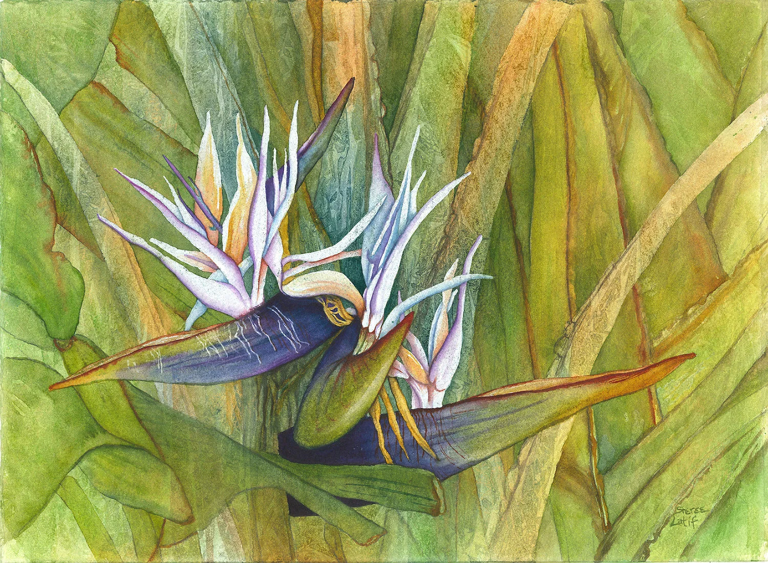 Entwined 11"x15" - Sheree Latif