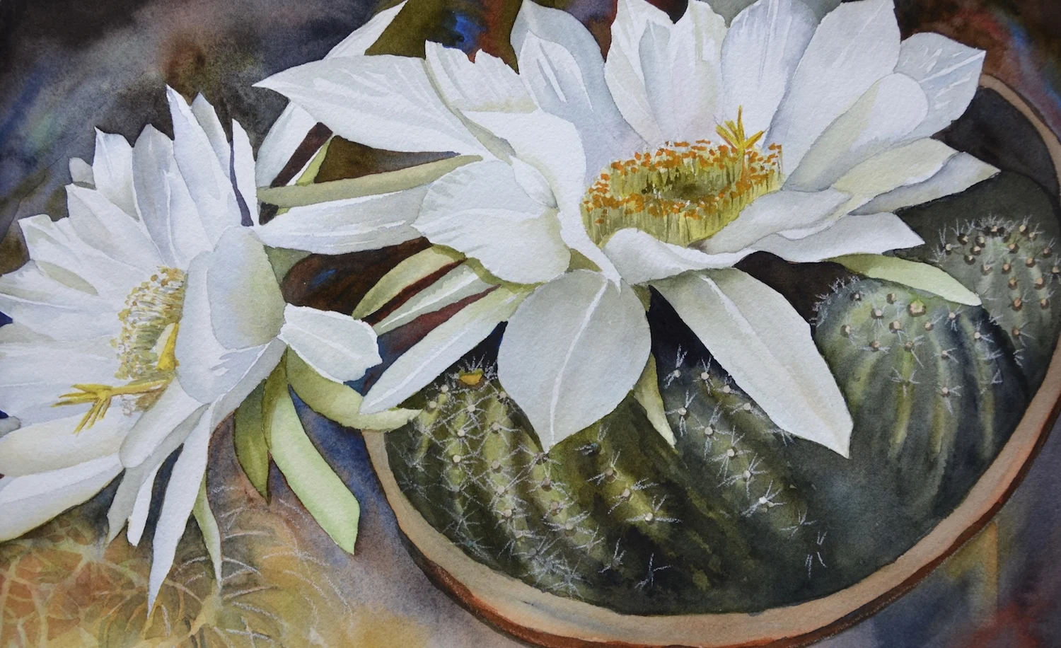 Dangerous Beauty 10" x 13" - Sue Roach