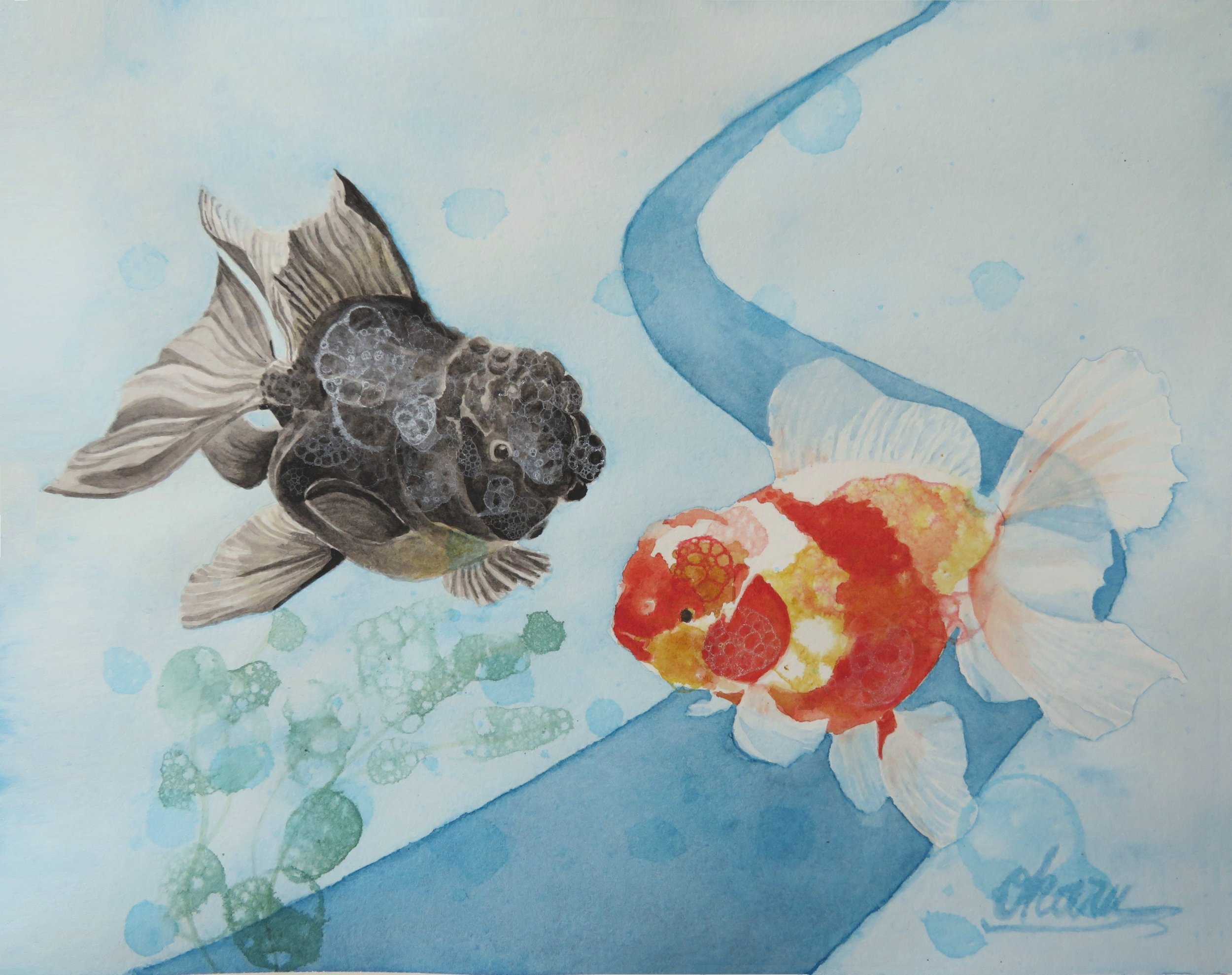 Bubble Goldfish 8"x10"