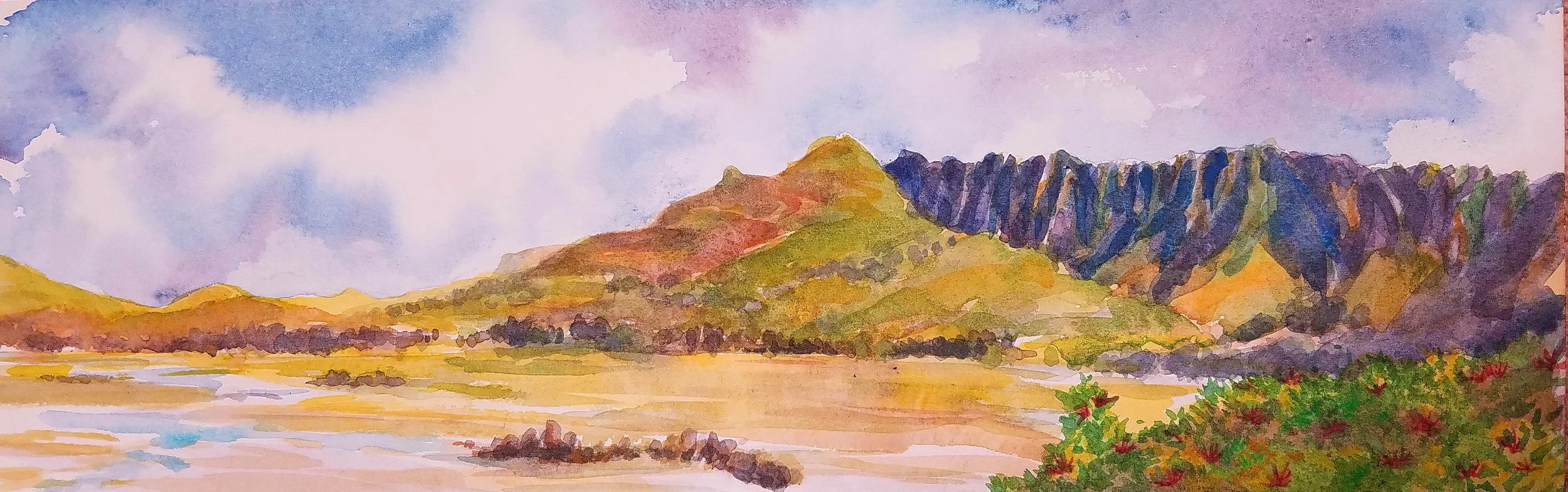 Kawainui Wetlands 6"x18"