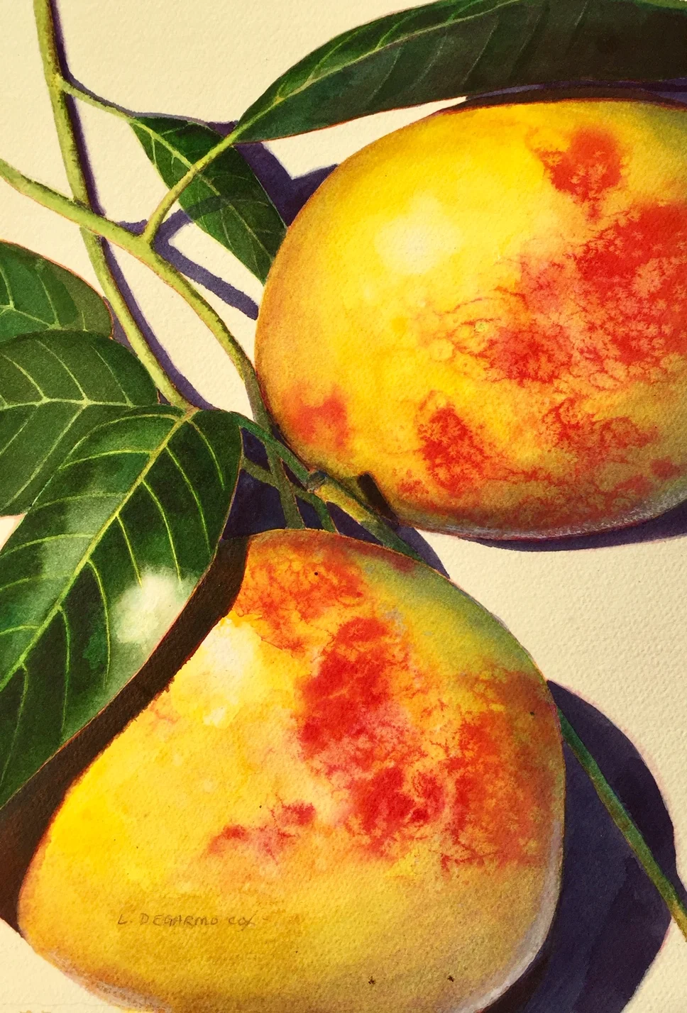 Juicy Mangos 20"x16"